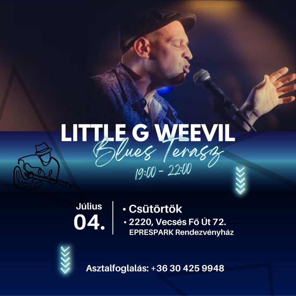 Little G Weevil blues koncert Epres72